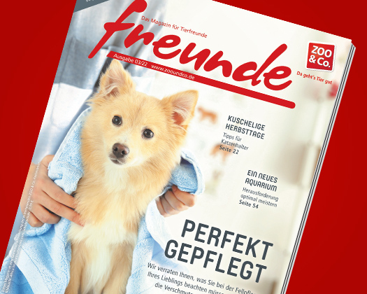 freunde-Magazin 3